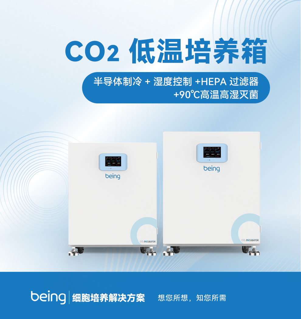 半導(dǎo)體制冷CO2低溫培養(yǎng)箱